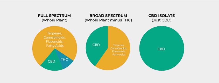 CBD Spectrum